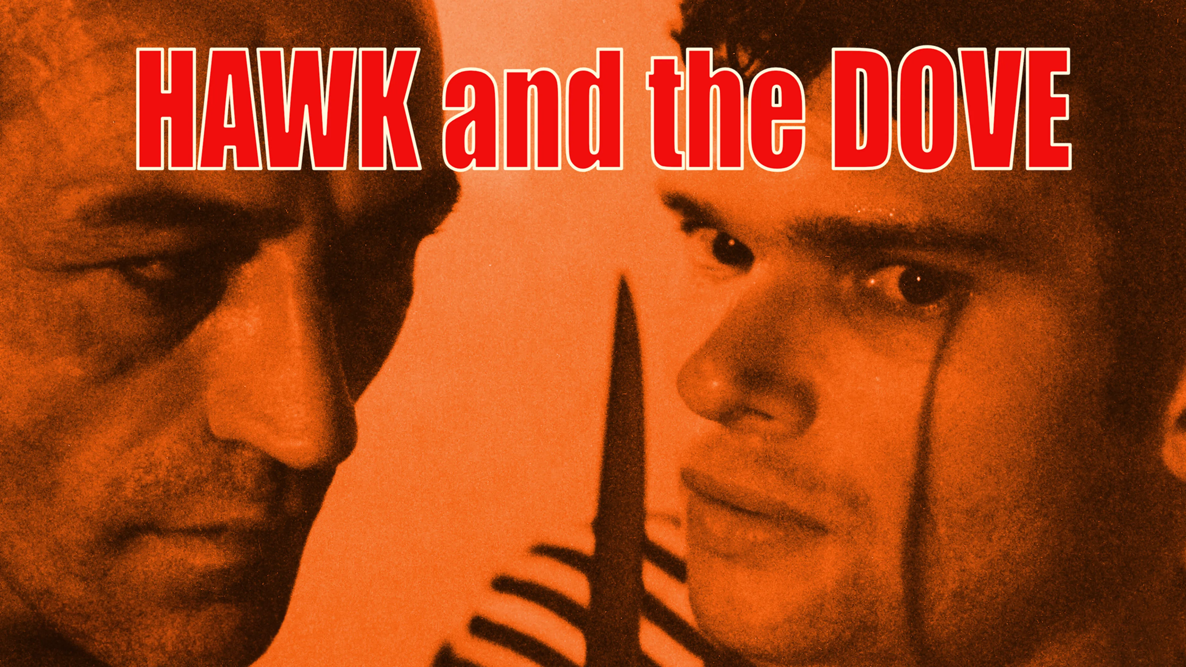 Hawk and the Dove poster
